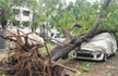 Centres team in Tamil Nadu today to assess damage caused by cyclone Vardah